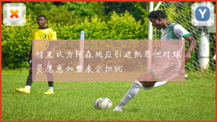 特里认为阿森纳应引进凯恩但对球员愿意加盟表示担忧