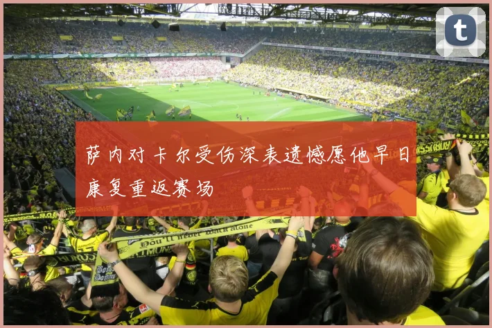 萨内对卡尔受伤深表遗憾愿他早日康复重返赛场